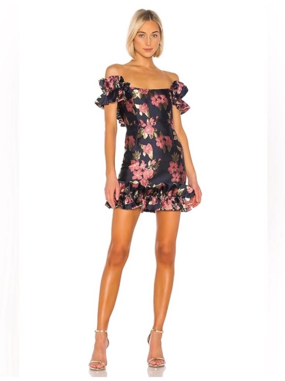 NWT V. Chapman Hollyhock Mini Dress Baroque Rose Floral Brocade